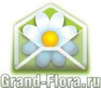Логотип компании Доставка цветов Гранд Флора (ф-л г.Семилуки)